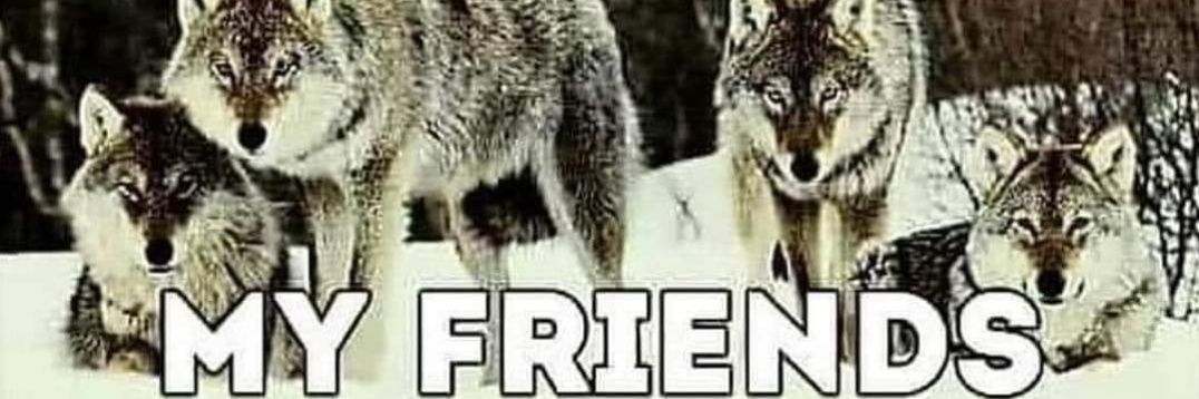 FinesseNYC's banner