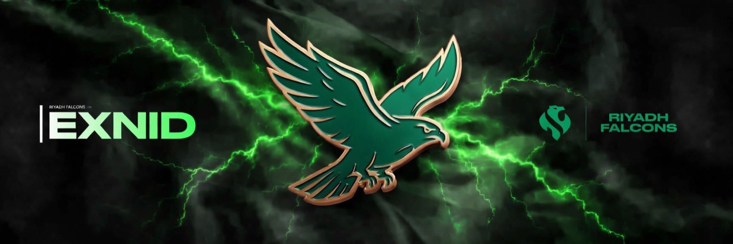 Falcons Exnid's banner