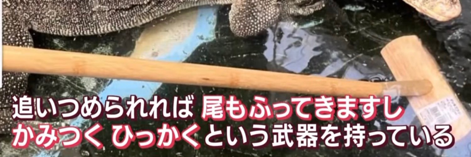 なでぃ's banner
