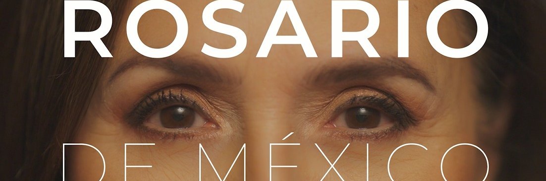 Rosario Robles's banner