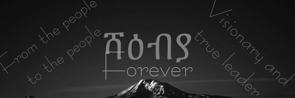 ኣልጌና ደብዓት 🇪🇷🐪's banner