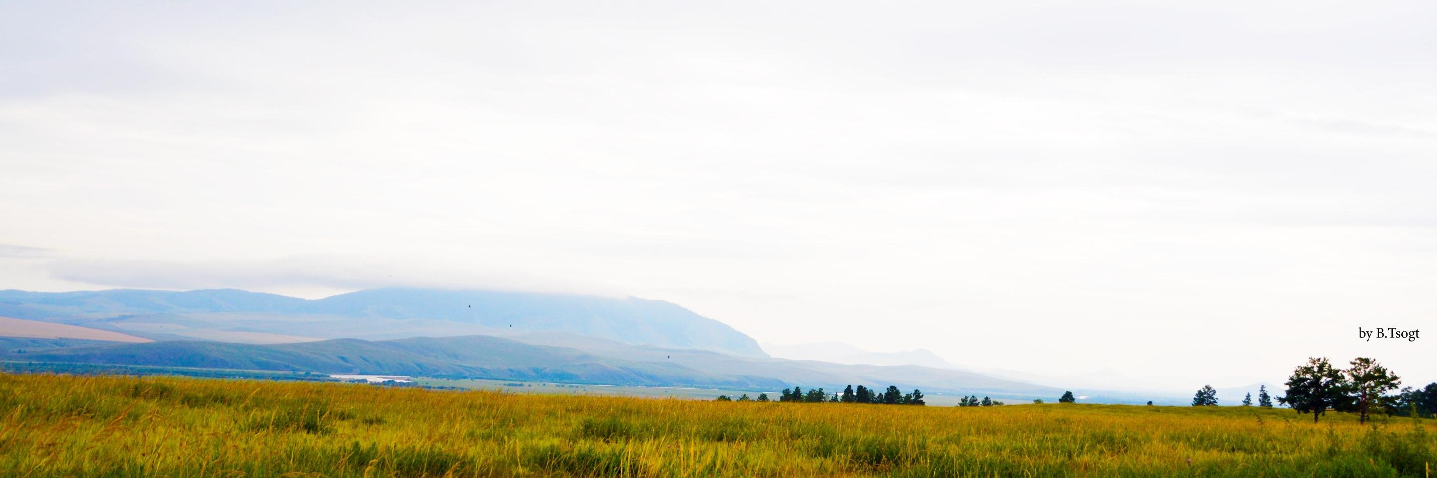 Tsogt's banner