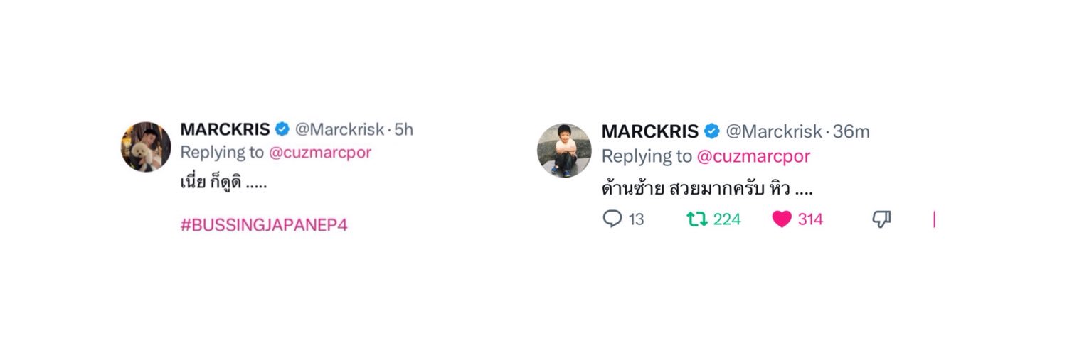𝘮𝘵𝘣𝘸.🦖🐻‍❄️♡'s banner