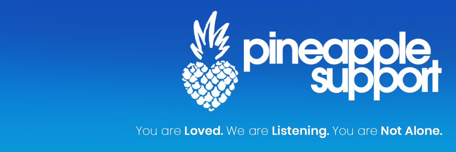 Pineapple Support's banner
