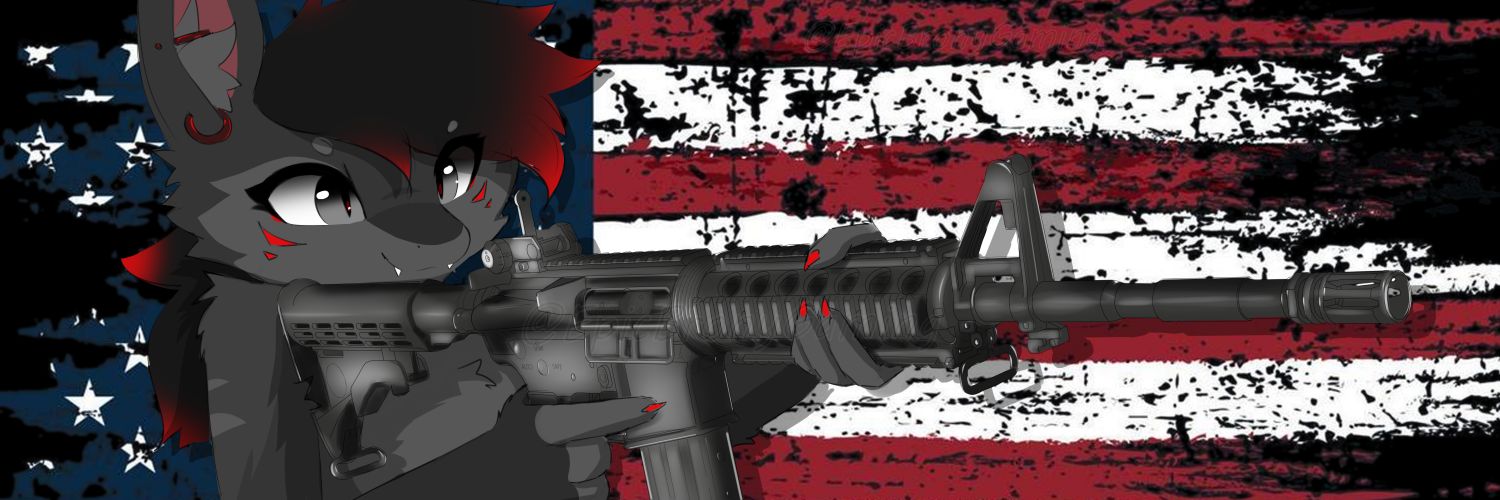 EpicBronyGaming🇺🇲's banner