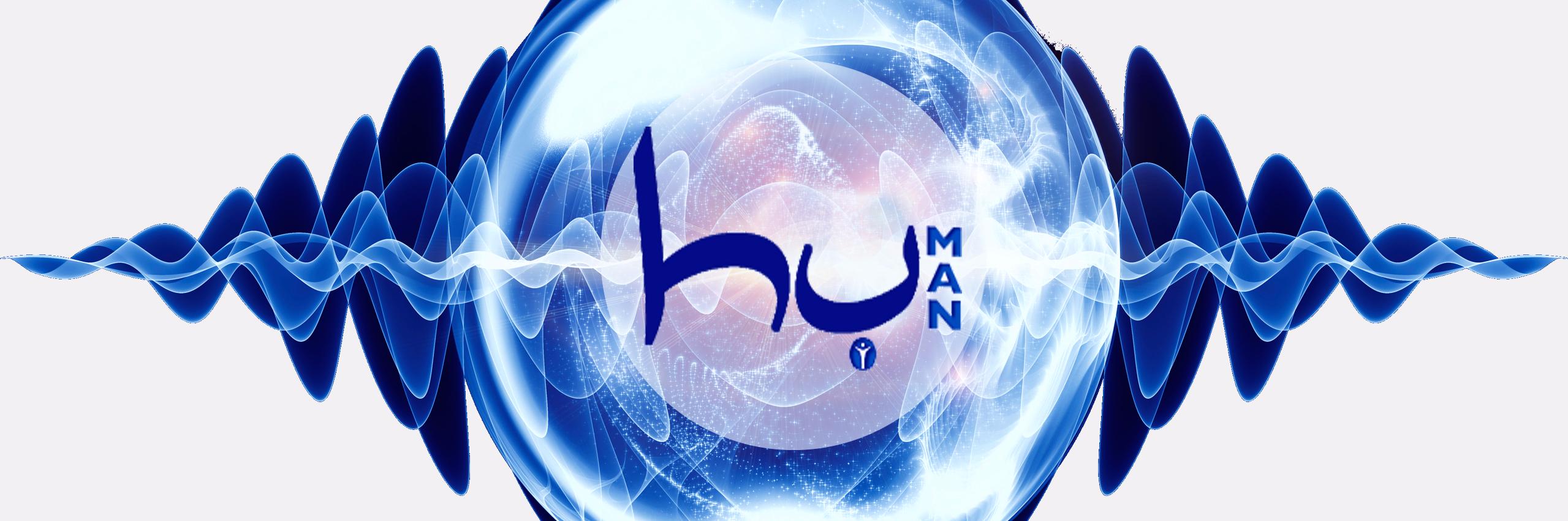 Ahmed Hulûsi's banner