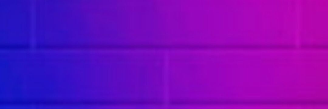 Camila Abdo's banner