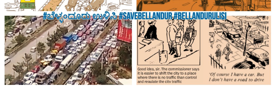 SaveBellandur(ಬೆಳ್ಳಂದೂರು ಉಳಿಸಿ)'s banner