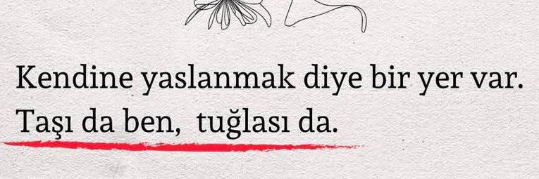 PINAR AYDINLAR's banner