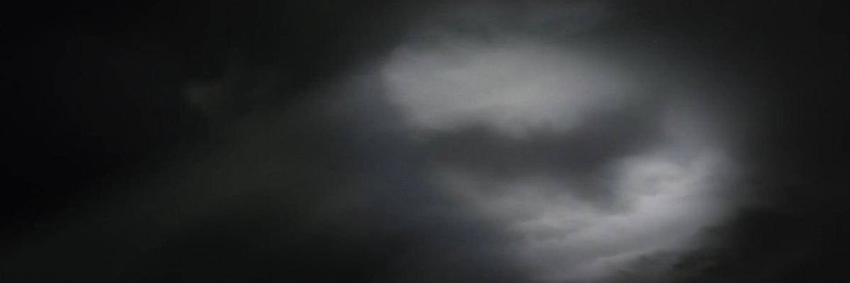 tumi's banner