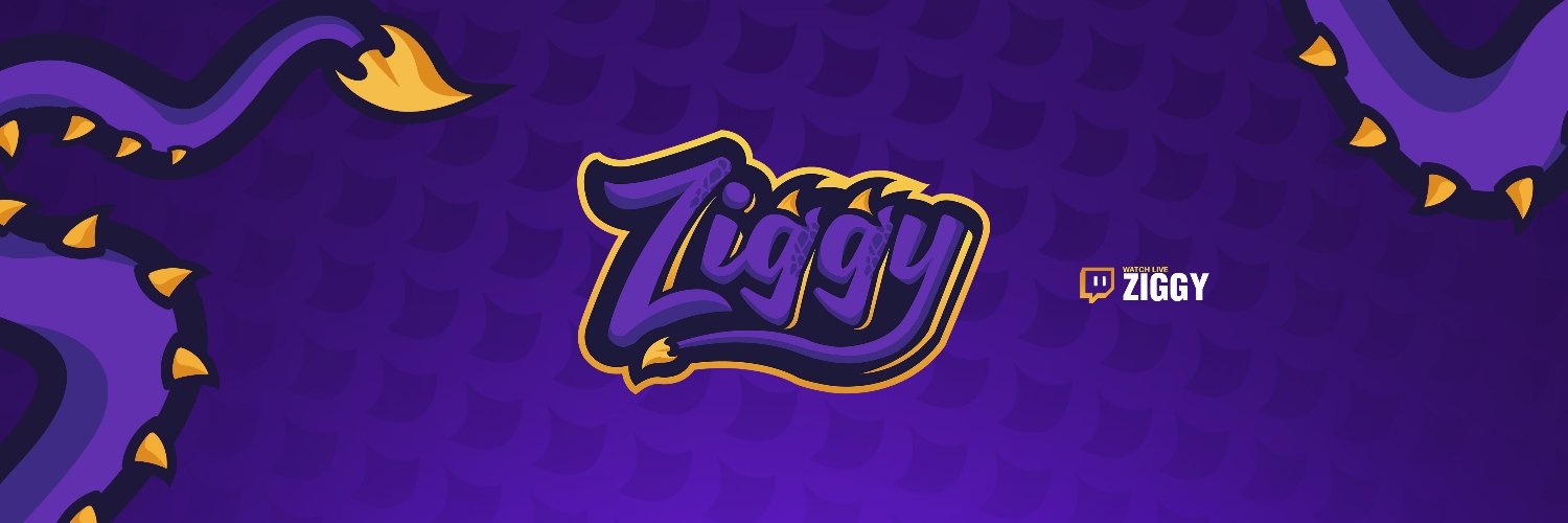 Ziggy 🏕's banner