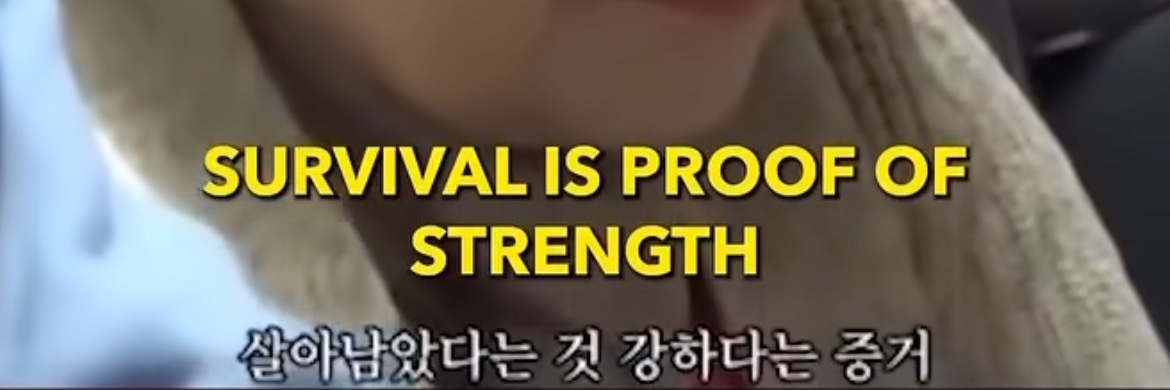 세라비's banner