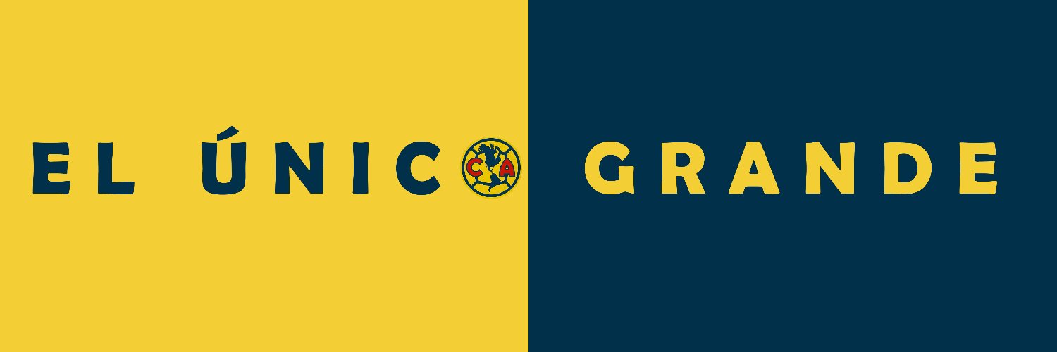𝕿𝖆𝖕𝖆𝖙í𝖔 𝕬𝖒𝖊𝖗𝖎𝖈𝖆𝖓𝖎𝖘𝖙𝖆 🦅's banner