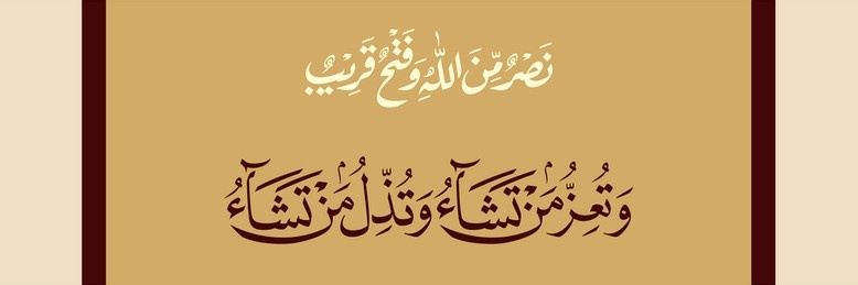 Ɗɑɳisɦ's banner
