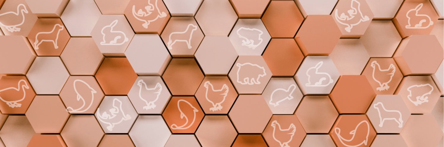 Cogecoin 🐶 🖼️'s banner