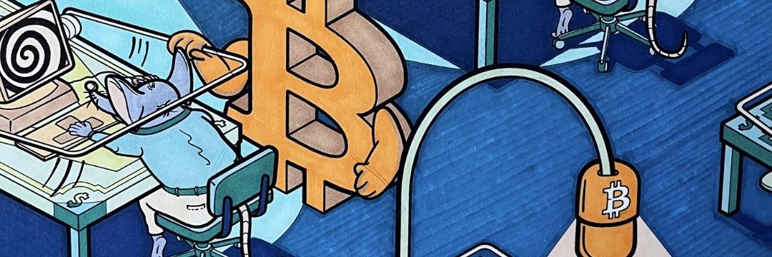 btc_torque ⚡ ₿'s banner