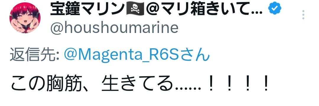 マジェンタ🏴‍☠️🔥🌲's banner
