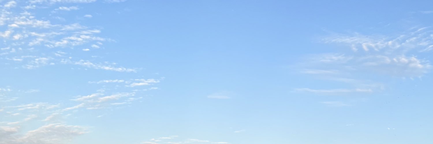 capybeara's banner