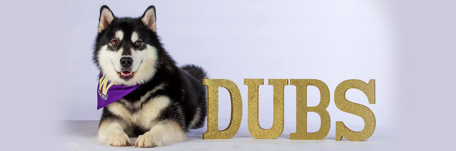 Dubs's banner