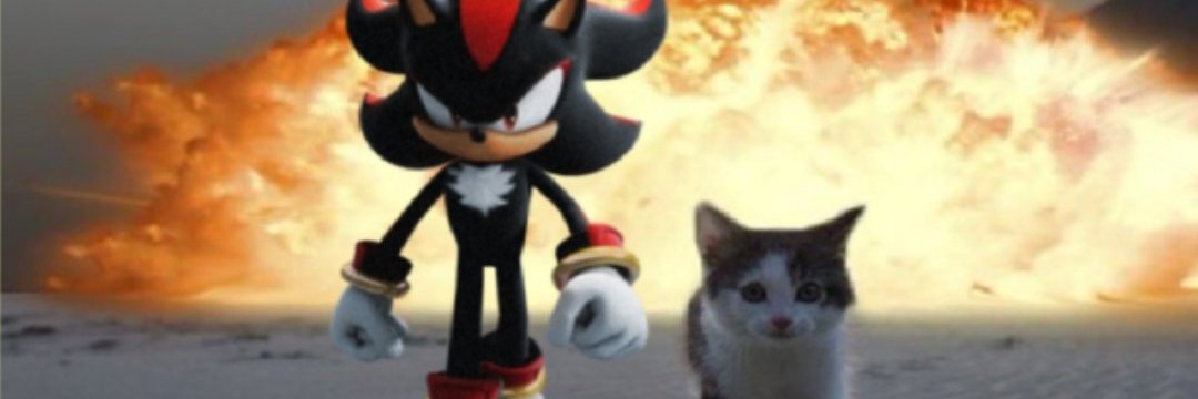 Sigma Malewife's banner
