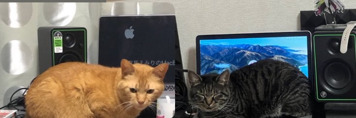 有馬えみり's banner