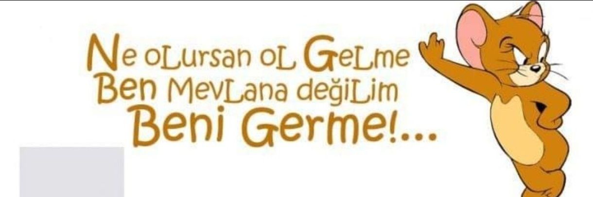 Sibel's banner