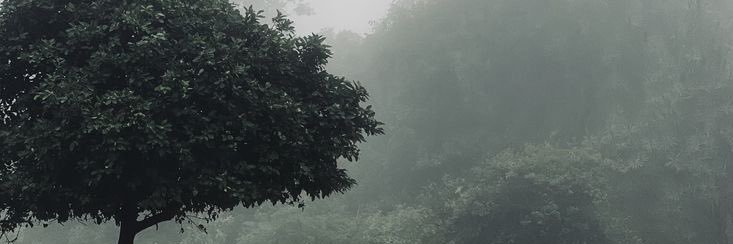 خالد الحارثي's banner