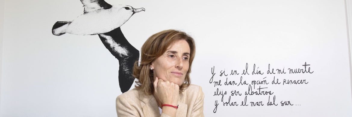 Marcela Cubillos Sigall's banner