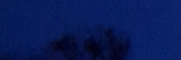 anyway's banner