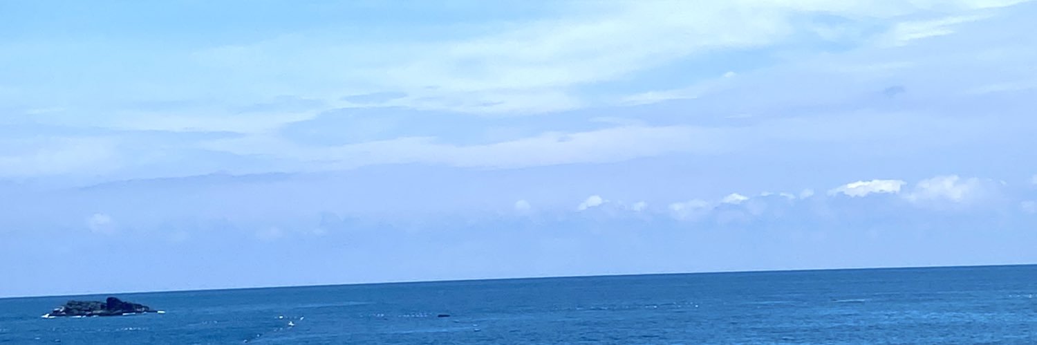熊若丸 • 墨鬼's banner
