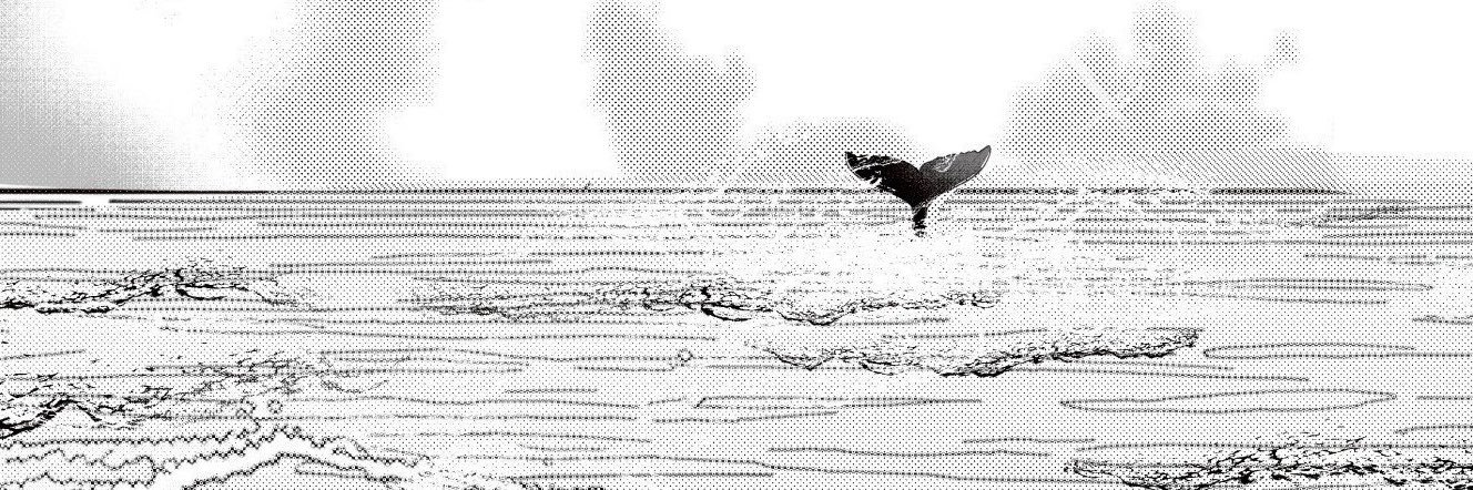 木野's banner