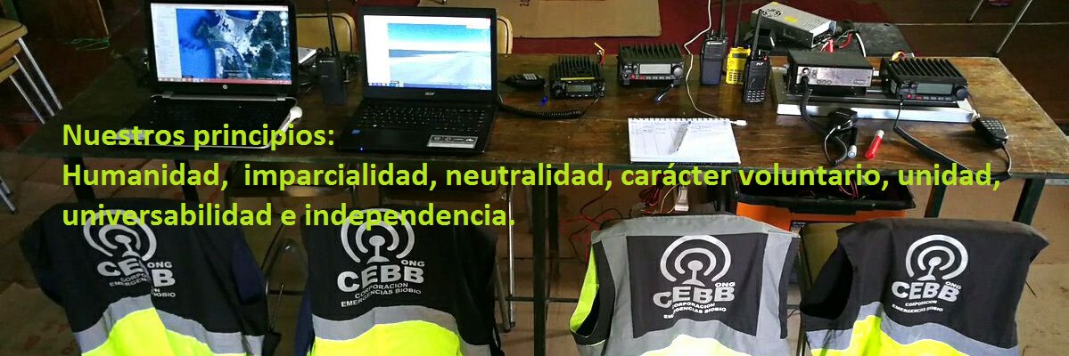CE Biobio's banner