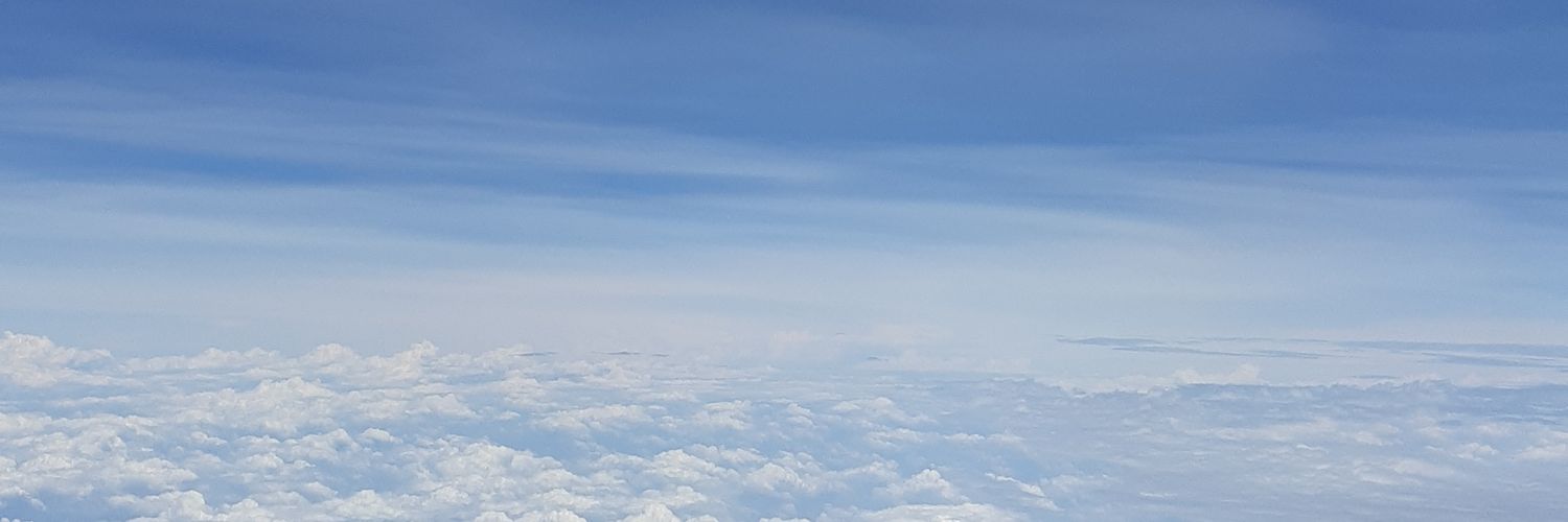 enver's banner