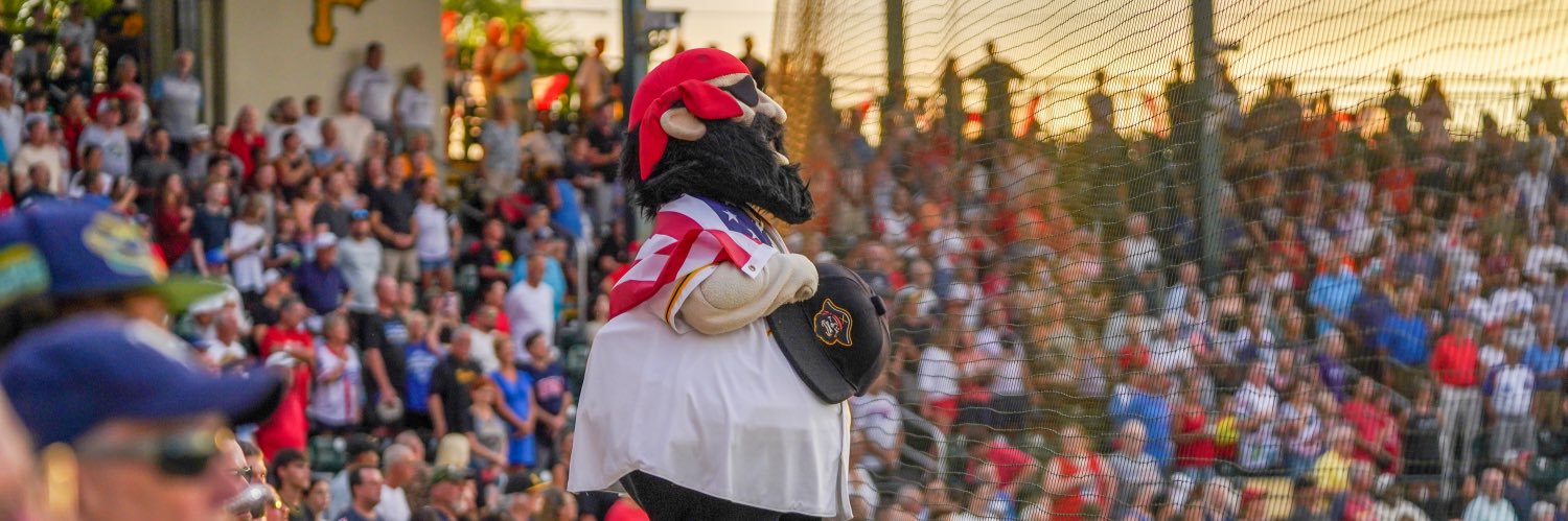 Bradenton Marauders's banner