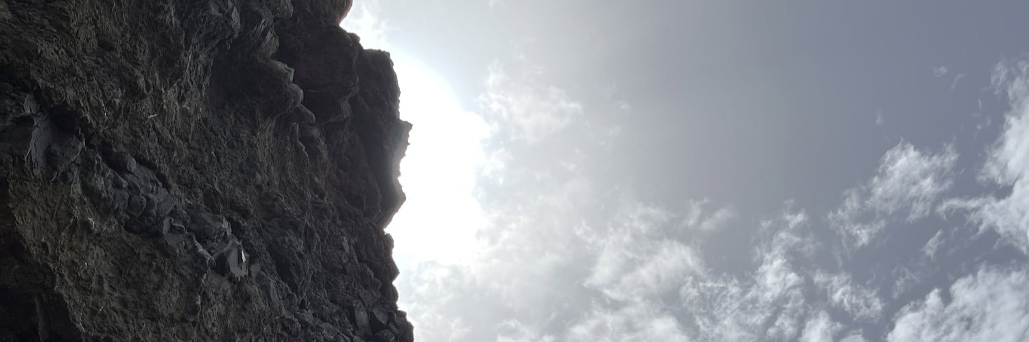 Bryann's banner