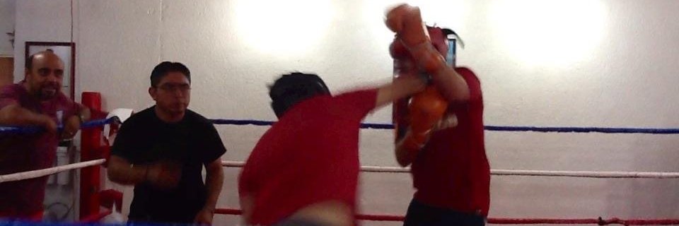 Hombre Chango's banner