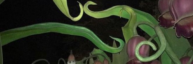 Ñomoide✨️🐿's banner