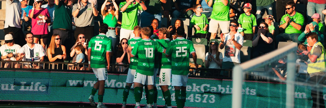 Greenville Triumph SC's banner