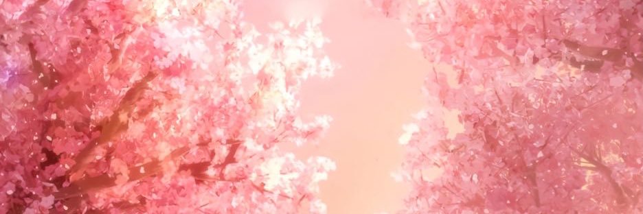 rainbow🐸🤍's banner