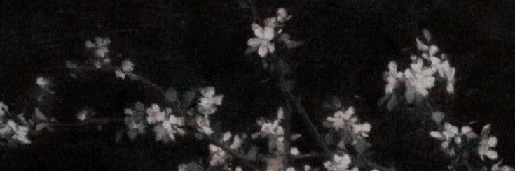𝕐𝕒𝕤𝕞í𝕟☆'s banner