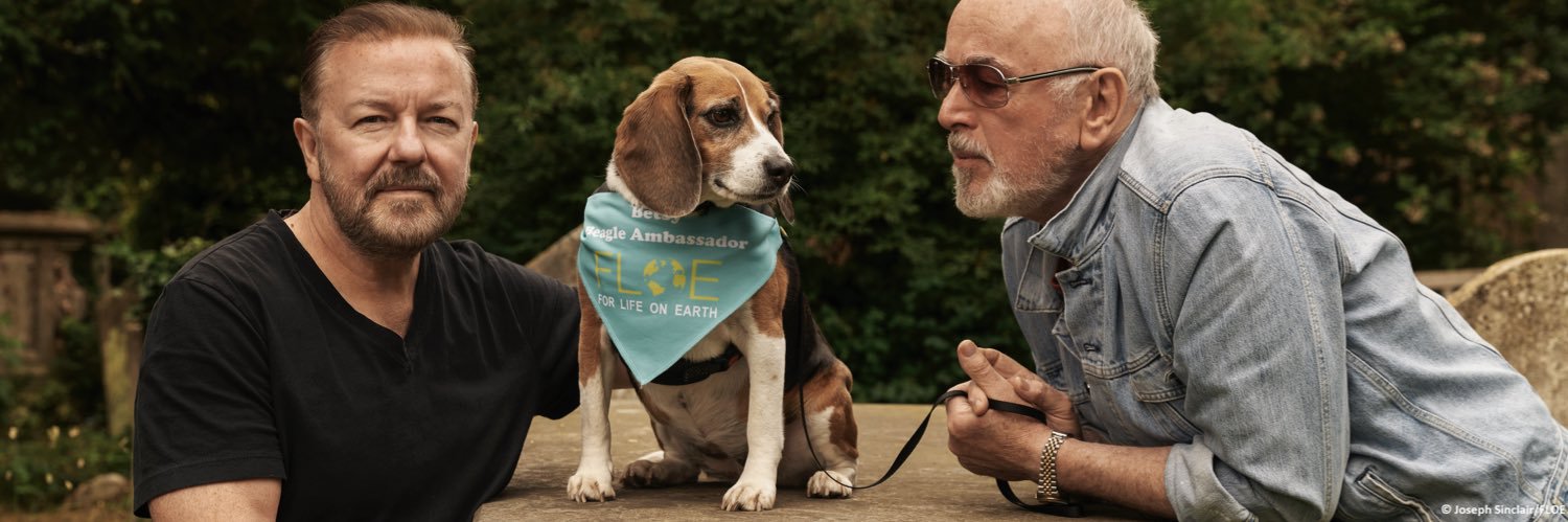 Betsy, Beagle Ambassador for FLOE's banner