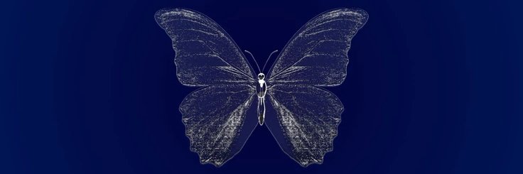 ريما's banner