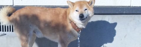 エバース 佐々木隆史's banner