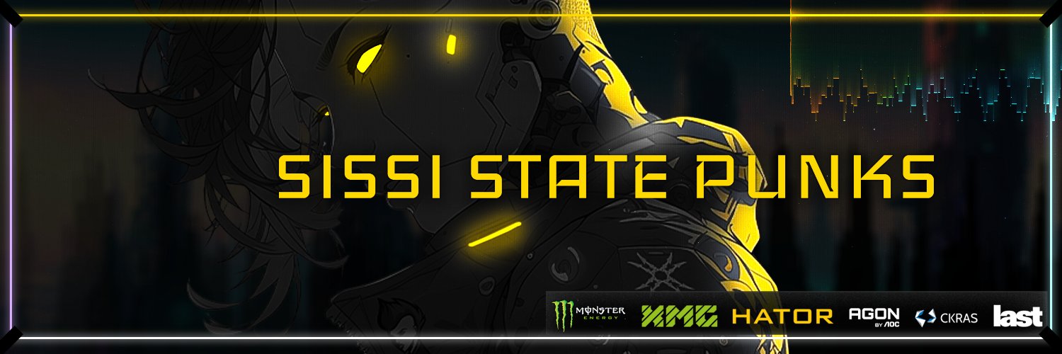 SISSI STΛTΞ PUNKS's banner
