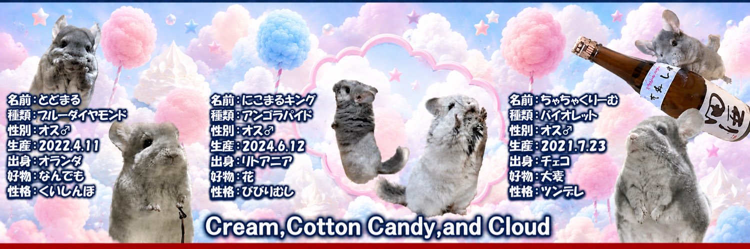 U_NEKOΦωΦ (しーしーしー )'s banner