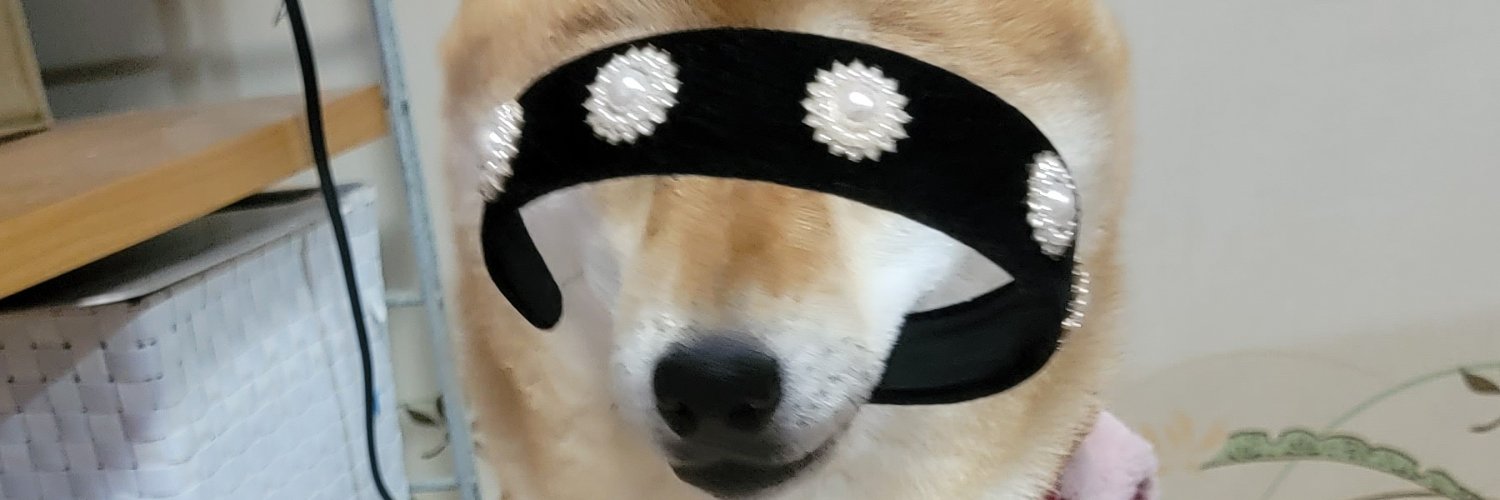 へなちょこころん's banner