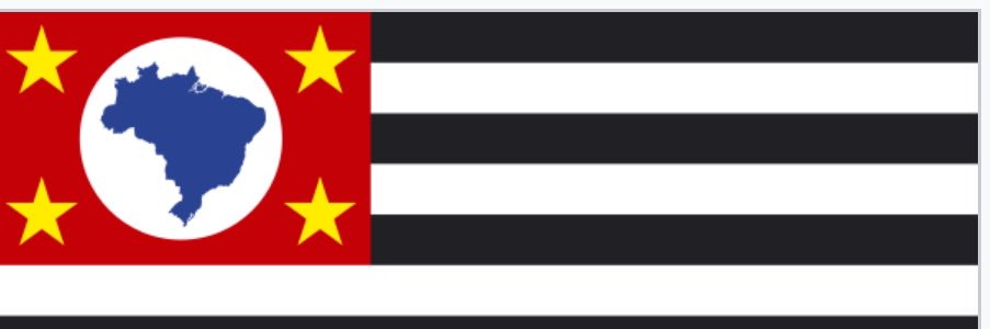 Ricardo Salles's banner