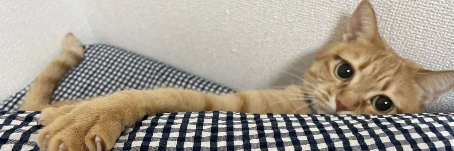 きなこ's banner