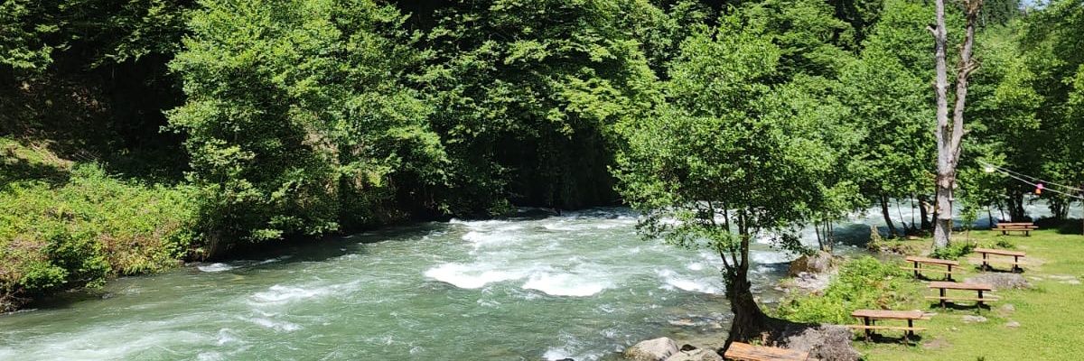أحـمــد بن غـالــب's banner