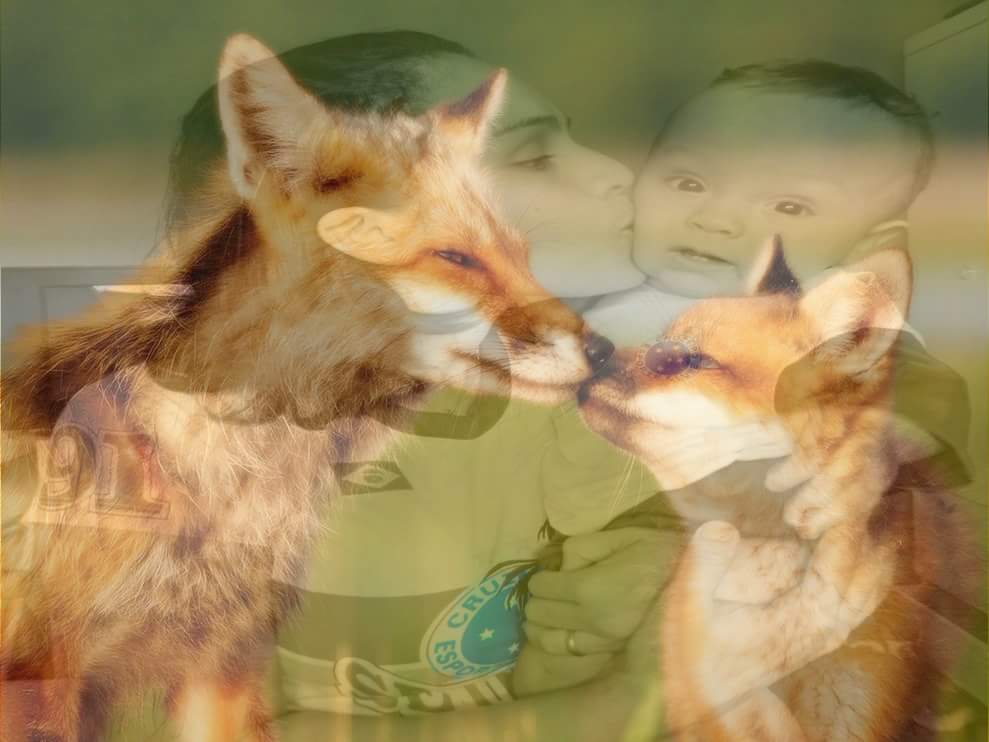 𝕄a𝕞ã𝕖 𝕕𝕠 𝔻𝕒𝕧𝕚💙's banner